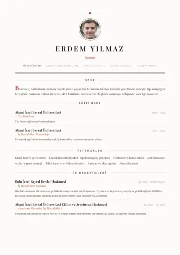  cv indir